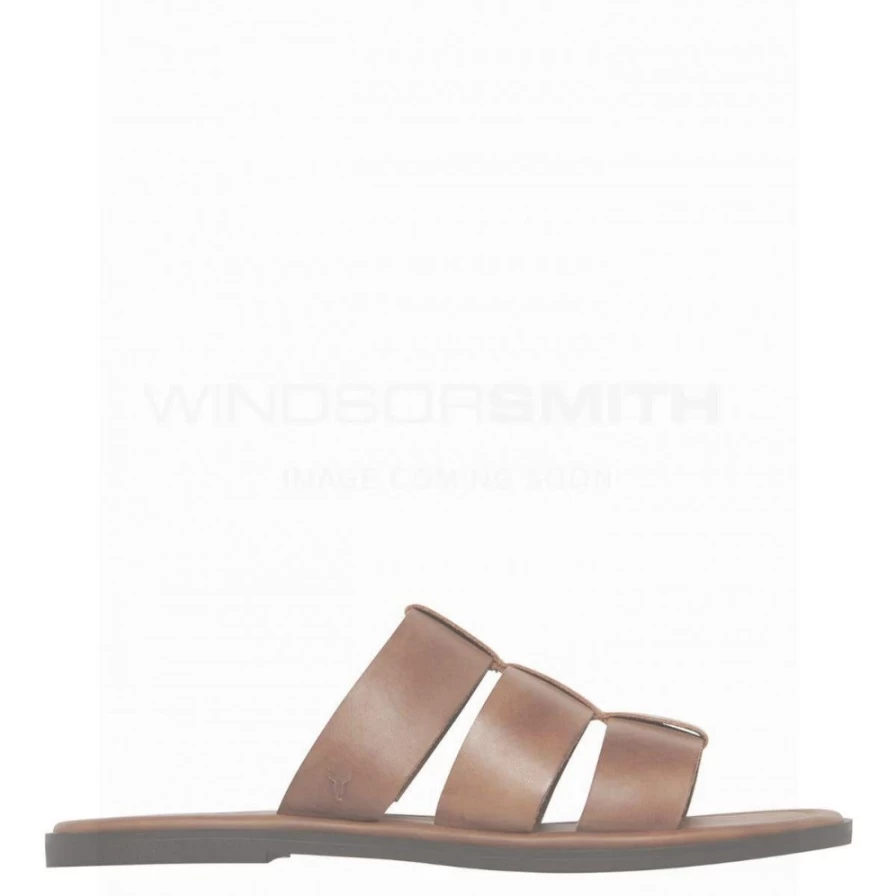 WindsorSmith Men's Brown Leather Guest Shoes - Classic Brn Leather Footwear for Men
